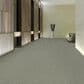 Shaw Fair Shake Carpet in Honorable, , large
