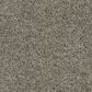 Dream Weaver Confetti III Carpet in Mountain View, , large