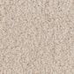 Anderson Tuftex Luxe Feel I Carpet in Neutral Ground, , large