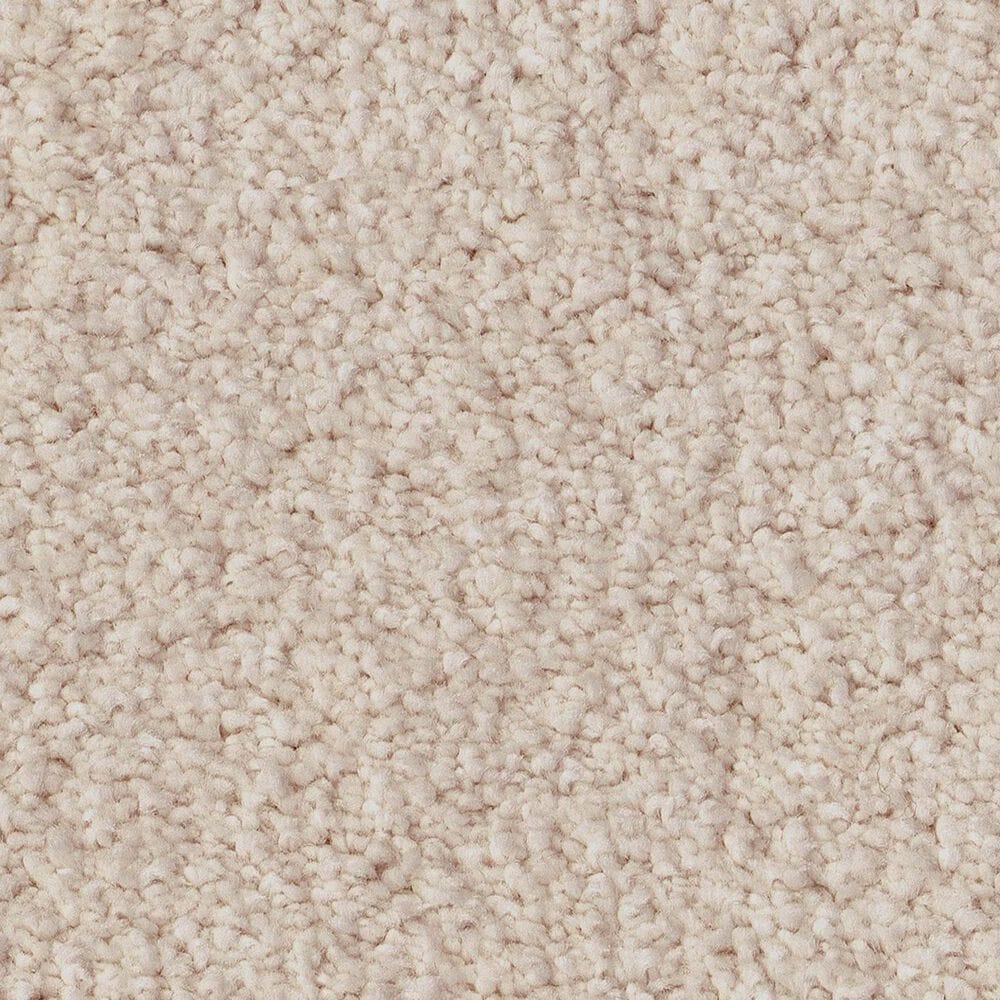 Anderson Tuftex Luxe Feel I Carpet in Neutral Ground, , large