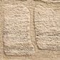 Loloi Hughes Natural 9"6" x 13"6" Area Rug, , large