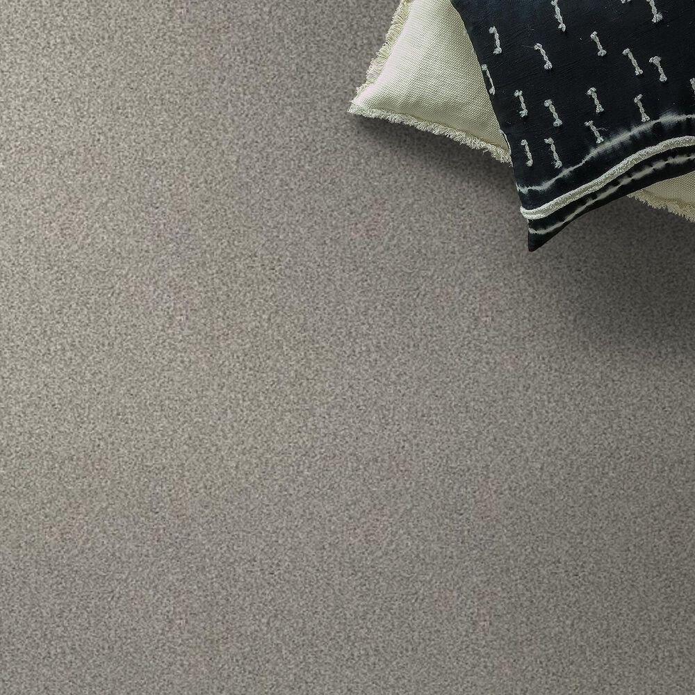 Shaw Tonal Comfort I Carpet in Back Patio, , large