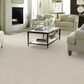 Shaw Foundations Take The Floor Twist I Carpet in Modest, , large