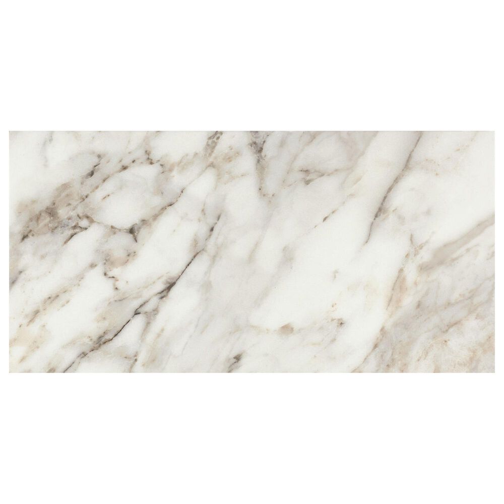 Dal-Tile Savoir Cafe 24" x 48" Polished Porcelain Tile, , large