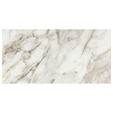 Dal-Tile Savoir Cafe 24" x 48" Polished Porcelain Tile, , large