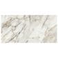 Dal-Tile Savoir Cafe 24" x 48" Polished Porcelain Tile, , large