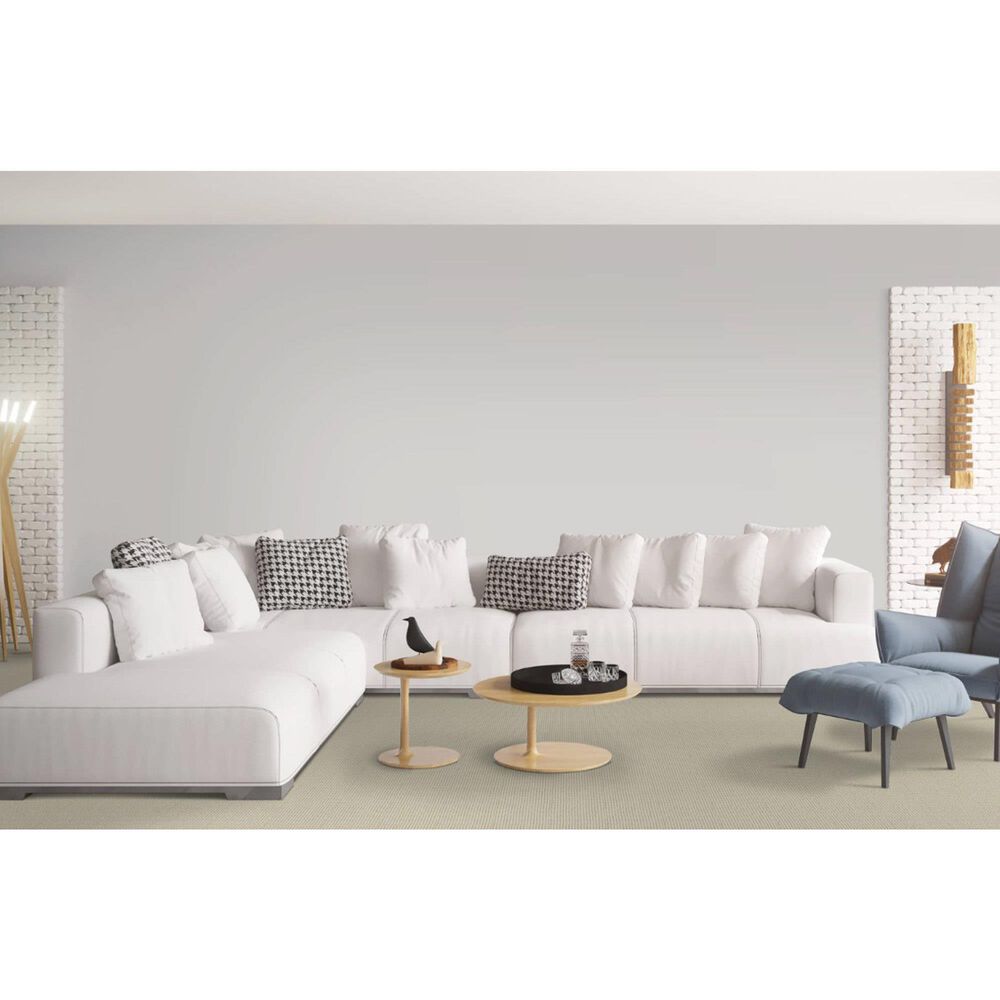 Dixie Home Oak Glen Carpet in Finch, , large