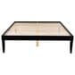 Linden Boulevard Polly Queen Platform Bed without Headboard in Black, , large