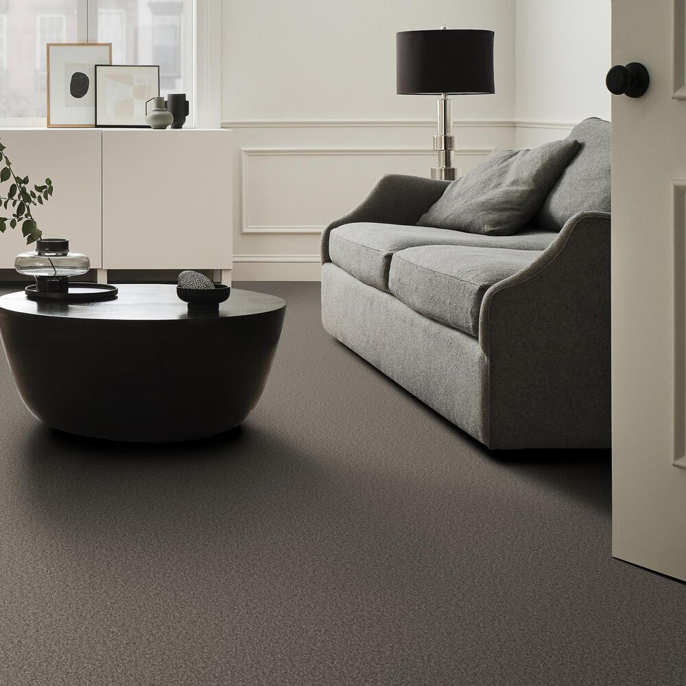 Shaw Tonal Comfort I Carpet in French Market, , large