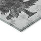 Dalyn Rug Company Wonderland WN19 2"6" x 3"10" Gray Indoor/Outdoor Area Rug, , large