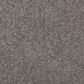 Mohawk Windsor Gardens II Carpet in Evening Shadow, , large