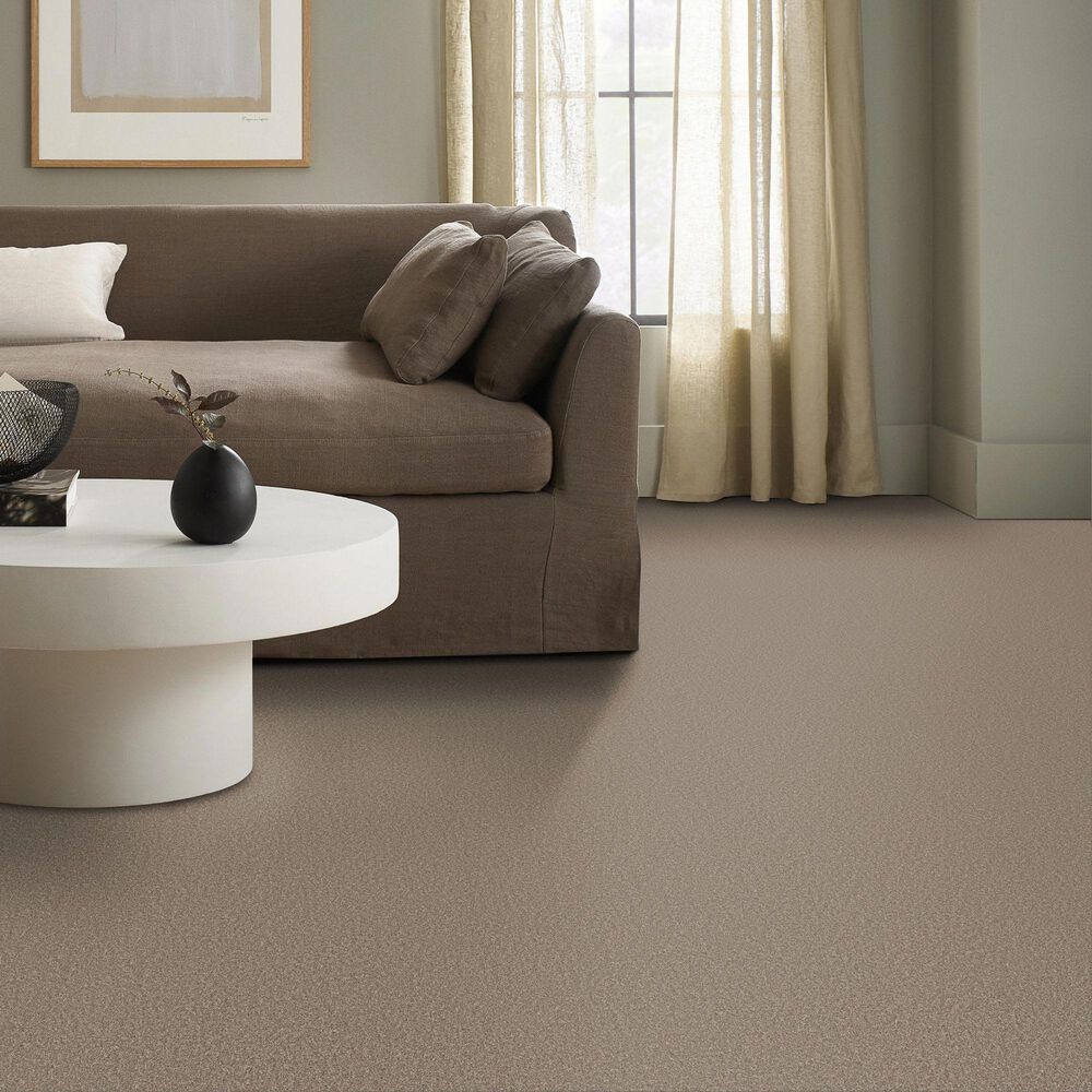 Shaw Imaginable III Carpet in Clay, , large