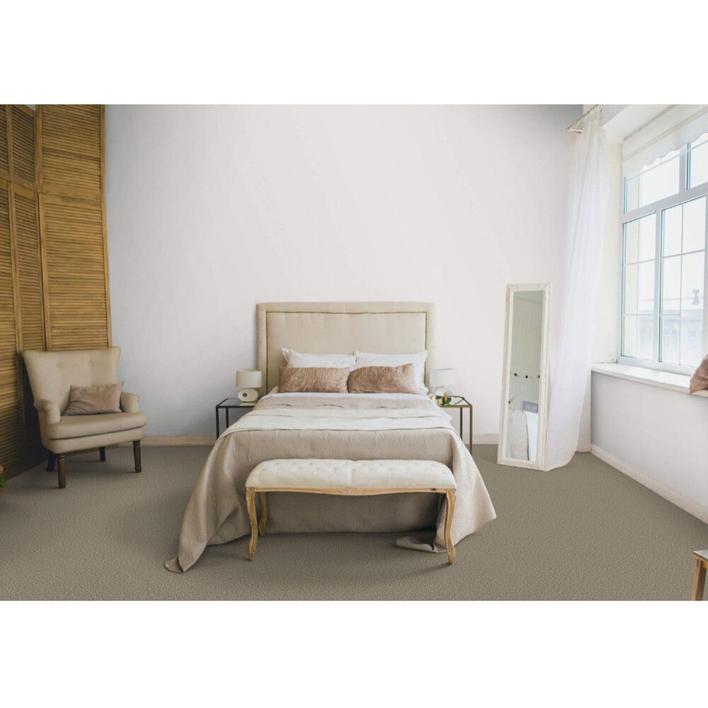 Dixie Home Riverbend Carpet in Quarry, , large