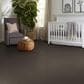 Shaw Hard At Play Iii Carpet in Urban Rustic, , large