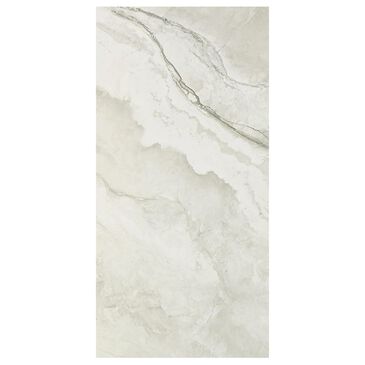 Dal-Tile Famed Iconic 12" x 24" Polished Porcelain Tile, , large