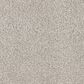 Dixie Home Big Splash Carpet in Pelican, , large