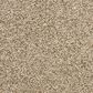 Dixie Home Natural Beauty Carpet in Barnwood, , large