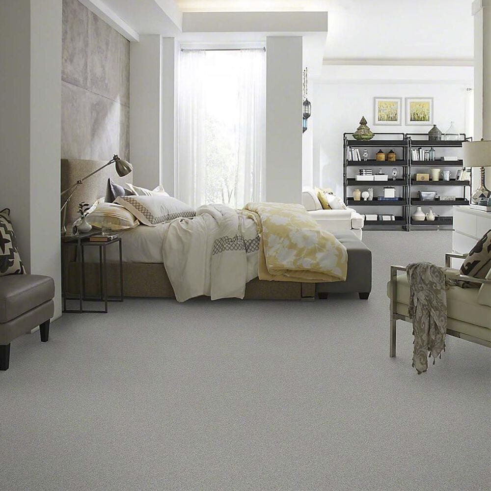 Anderson Tuftex Barracan Classic II Carpet in Haze, , large