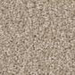 Shaw Bold Move Plus Carpet in Sheer Beige, , large