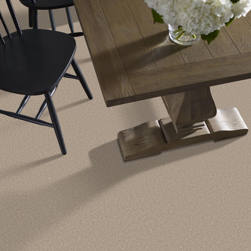 Philadelphia Champagne Taste I Carpet in Chic Greige, , large