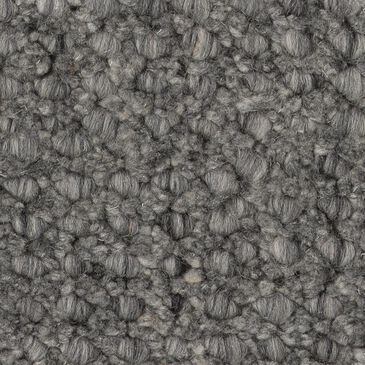 Anderson Tuftex Tactile Carpet in Nightfall, , large