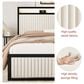 HOMLUX King 2-Drawer  Storage Bed with LED Headboard and USB Ports in Beige, , large
