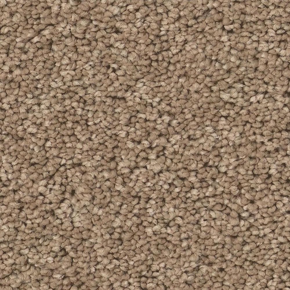 Shaw New Memories S Carpet in Sierra, , large