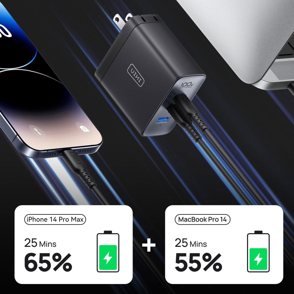 INUI Leopard 100W Fast Charging Wall Charger in Black, , large