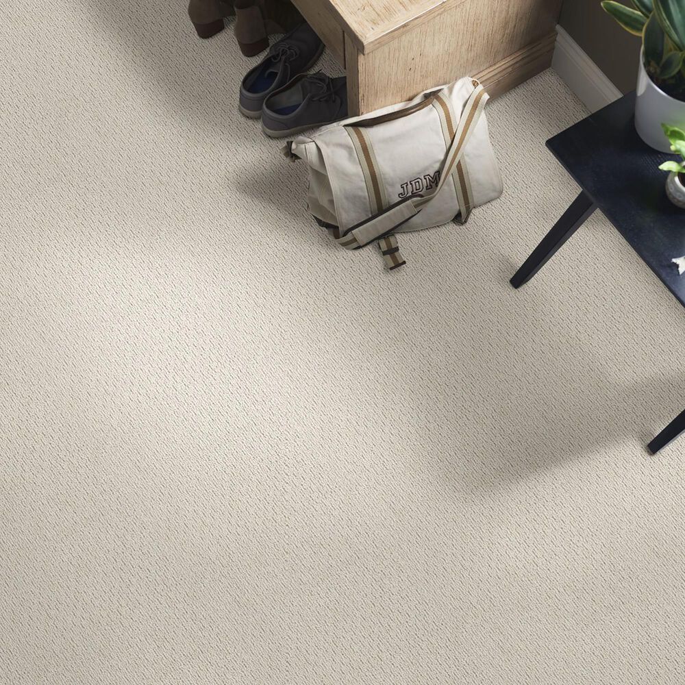 Anderson Tuftex Powerful Art Carpet in Cement, , large