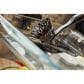 Joseph Joseph SinkTech Washing Up Brush with Replacement Head in Grey, , large