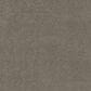 Philadelphia Delicate Feel I Carpet in Hideaway, , large