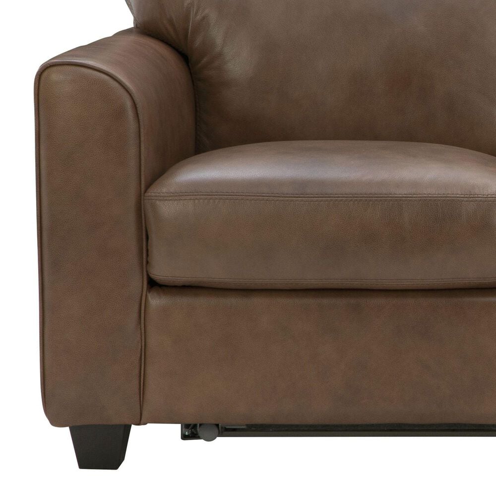 Pennycross Haven Euro Mechanism Queen Sleeper Sofa in Chestnut, , large