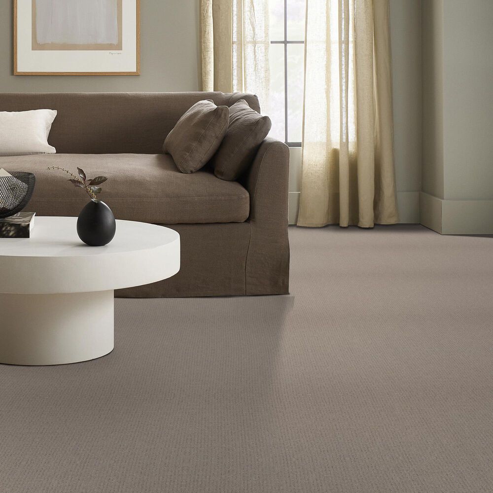 Anderson Tuftex Lyric Carpet in Grounded, , large