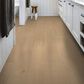 Shaw Cattitude Hygge 7" x 48" Luxury Vinyl Plank, , large