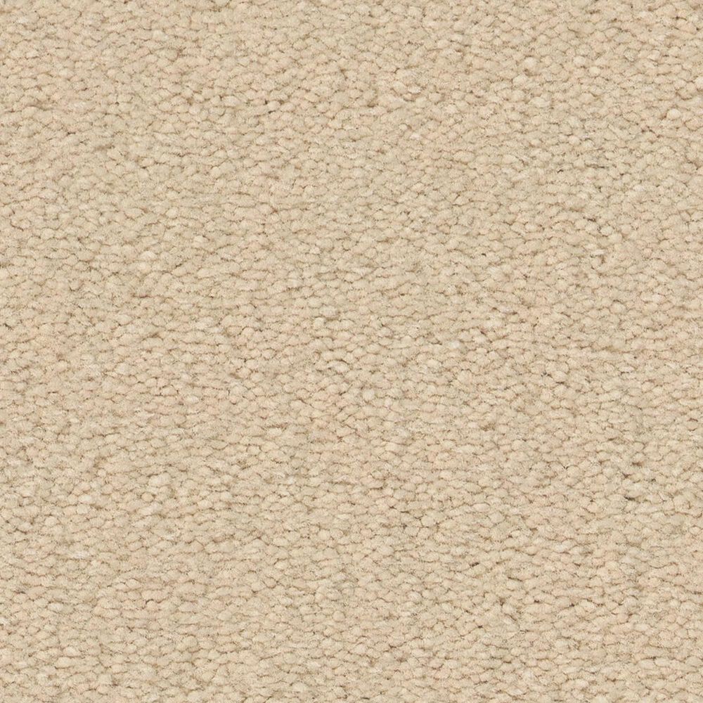 Anderson Tuftex Finery Carpet in Goose, , large