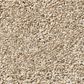 Shaw Find Your Comfort TT II Carpet in Walk on The Beach, , large