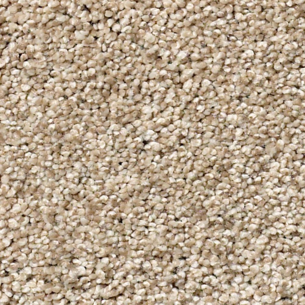 Shaw Find Your Comfort TT II Carpet in Walk on The Beach, , large