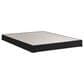 Sealy Wilkins Firm Hybrid Twin Mattress with Low Profile Box Spring, , large