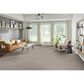 Phenix Luxe Carpet in Over The Top, , large