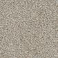 Masland San Juan Carpet in Unwavering, , large