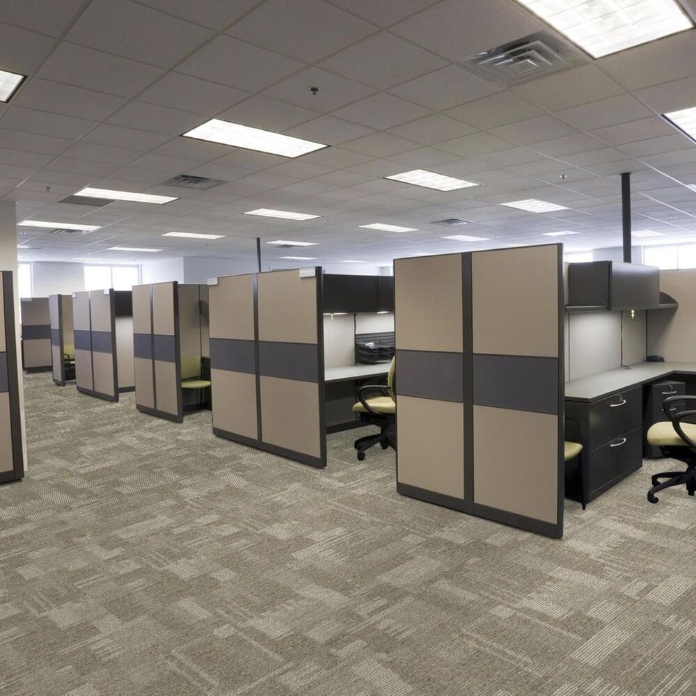 Shaw Pure Attitude 18&quot; x 36&quot; Carpet Tile in Astute, , large