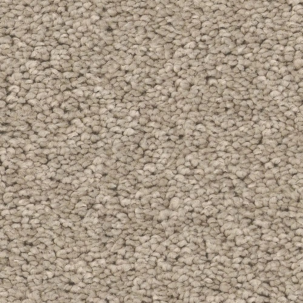 Philadelphia Champagne Taste II Carpet in Chic Greige, , large