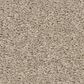 Philadelphia Champagne Taste II Carpet in Chic Greige, , large