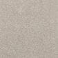 Mohawk Luxuriant Feel Carpet in Arctic, , large