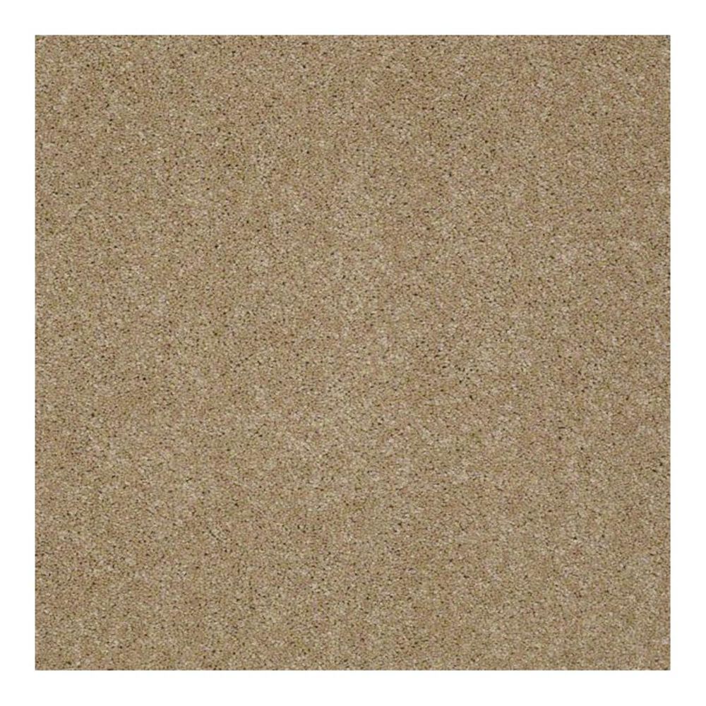 Anderson Tuftex Bear Carpet in Passive Tan, , large