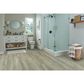 Robbins Pro-Tekt Classic Pro Nuanced Gray 8" x 60" Luxury Vinyl Plank, , large