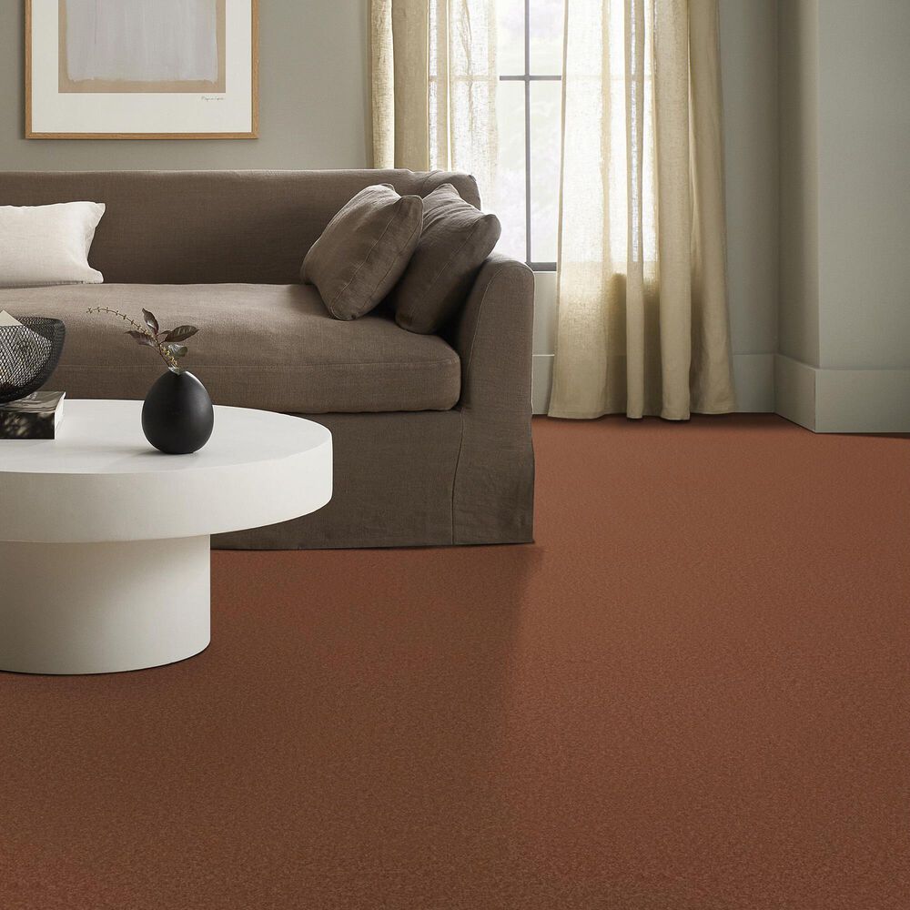 Anderson Tuftex Elegant Beauty Carpet in Clay, , large