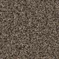 Anderson Tuftex Somerset Carpet in Sable, , large