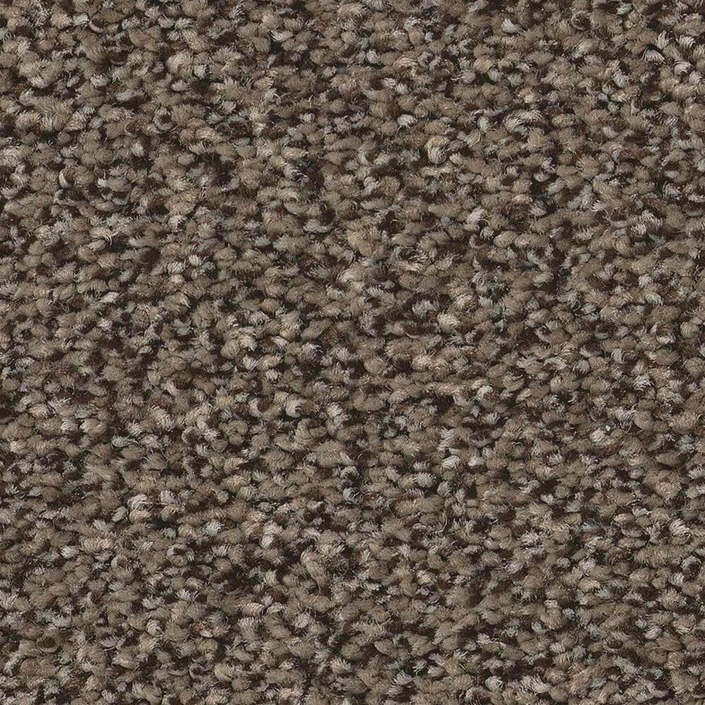 Anderson Tuftex Somerset Carpet in Sable, , large