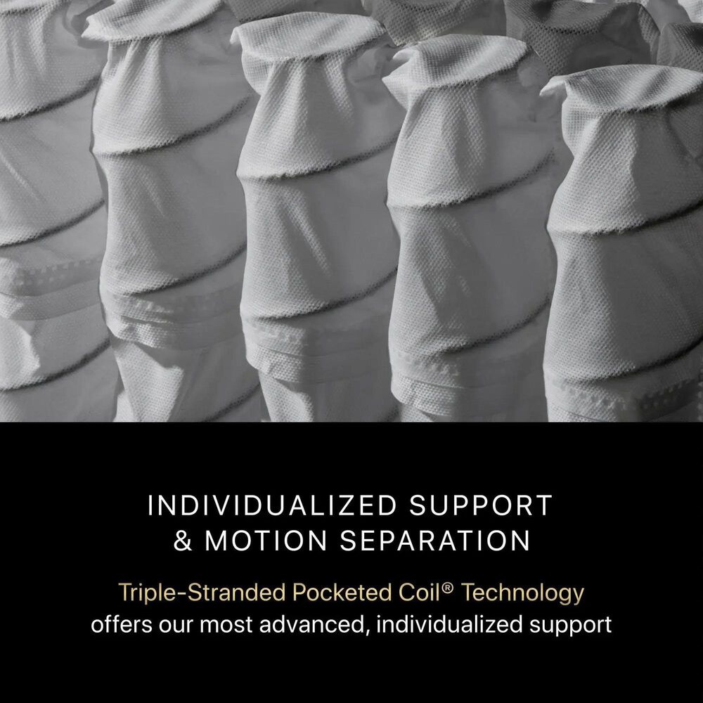 Beautyrest Black Series Four Plush Pillow Top King Mattress, , large